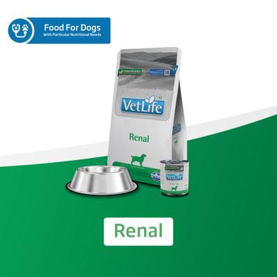 Renal Recipe Wet Dog Food, 10.6-oz can, case of 6