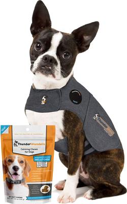 Bundle: ThunderShirt Classic Anxiety & Calming Vest, Heather Grey, X-Small + ThunderWunders Melatonin Dog Chews