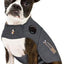Bundle: ThunderShirt Classic Anxiety & Calming Vest, Heather Grey, X-Small + ThunderWunders Melatonin Dog Chews
