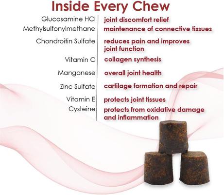 Double Strength Soft Chews for Dogs, 120 count