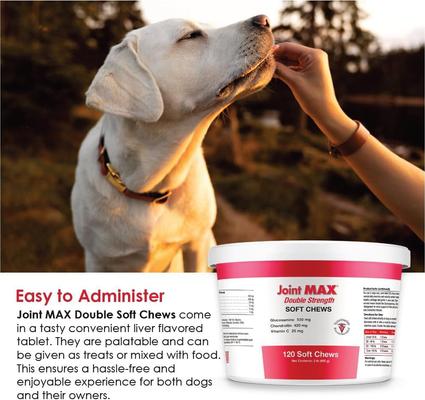 Double Strength Soft Chews for Dogs, 120 count