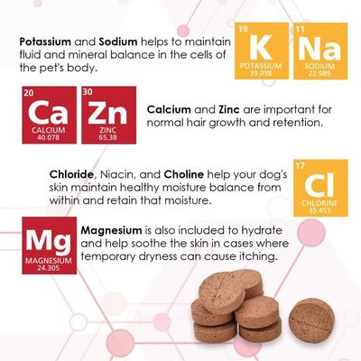 Extra Strength Liver Flavored Chewable Tablet Skin & Coat Supplement for Dogs, 60 count