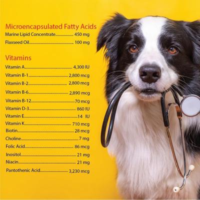 Extra Strength Liver Flavored Chewable Tablet Skin & Coat Supplement for Dogs, 60 count