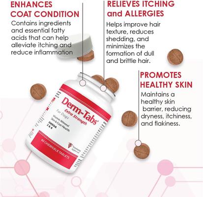 Extra Strength Liver Flavored Chewable Tablet Skin & Coat Supplement for Dogs, 60 count