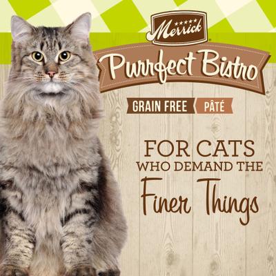 Purrfect Bistro Grain-Free Turkey Pate Canned Cat Food, 5.5-oz, case of 24
