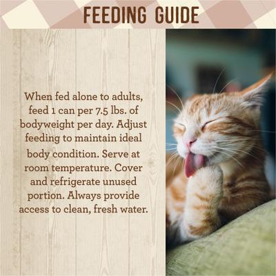 Purrfect Bistro Grain-Free Turkey Pate Canned Cat Food, 5.5-oz, case of 24