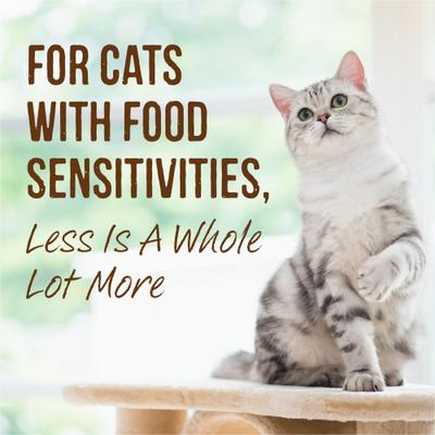 Limited Ingredient Diet Grain-Free Turkey Canned Cat Food, 2.75-oz, case of 24