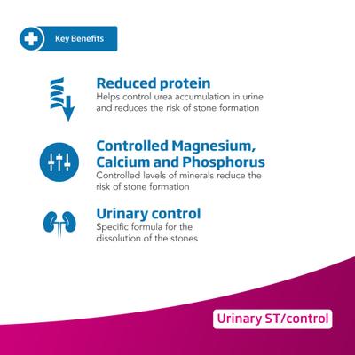 Urinary ST/Control Recipe in Gravy Wet Dog Food, 10.6-oz can, case of 6