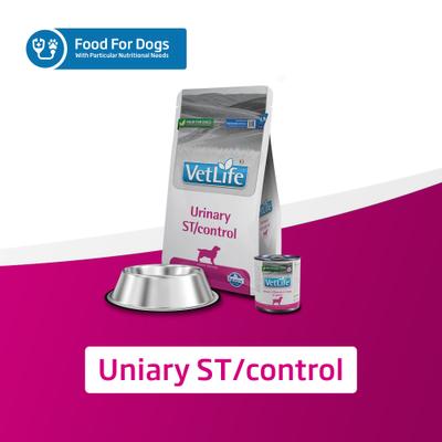 Urinary ST/Control Recipe in Gravy Wet Dog Food, 10.6-oz can, case of 6