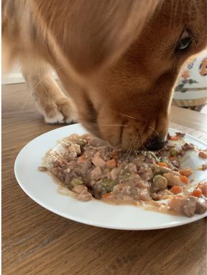 Real Chicken Stew Grain-Free Wet Dog Food, 12-oz, case of 12