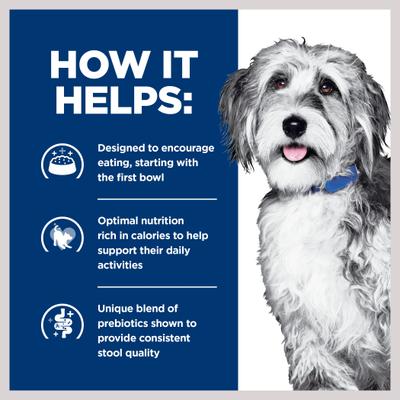 ONC Care Chicken & Vegetable Stew Wet Dog Food, 12.5-oz can, case of 12