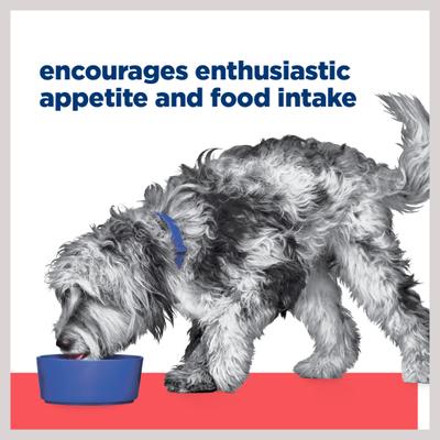 ONC Care Chicken & Vegetable Stew Wet Dog Food, 12.5-oz can, case of 12