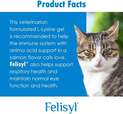 Lysine Gel Salmon Flavored Immune System Support Healthy Tissue, Respiratory, & Vision Supplement for Cats, 5-oz tube