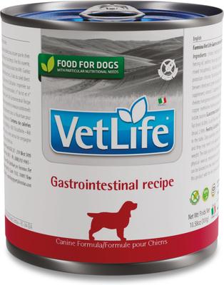 Gastrointestinal Recipe Wet Dog Food, 10.6-oz can, case of 6