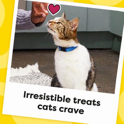 Classic Tasty Chicken Flavor Soft & Crunchy Cat Treats, 48-oz bag