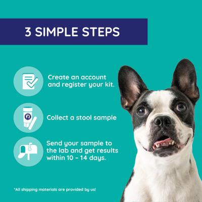 Inflammation & Immunity Dog & Cat Gut Check Kit