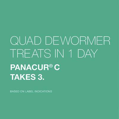 Quad Dewormer for Hookworms, Roundworms, Tapeworms & Whipworms for Small Breed Dogs, 4 count