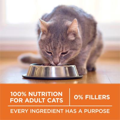 Alimento seco natural para gatos adultos con alto contenido proteico Plus Ideal Weight, bolsa de 22 lb