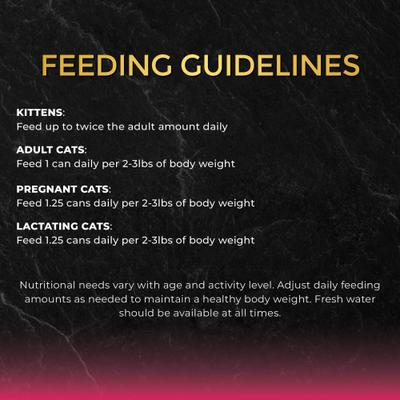 Tuna with Oceanfish in Gravy Wet Cat Food, 2.82-oz can, case of 24