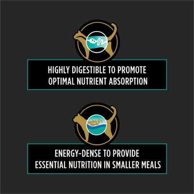 ES Alimento húmedo gastroentérico para gatos, lata de 5.5 oz, caja de 24