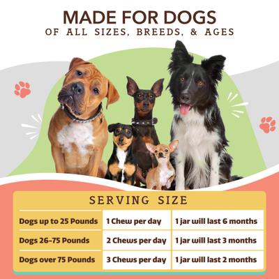 Suplemento masticable suave Skin & Coat Omega-3 con sabor a salmón y guisantes para perros, 90 unidades