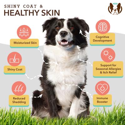 Suplemento masticable suave Skin & Coat Omega-3 con sabor a salmón y guisantes para perros, 90 unidades