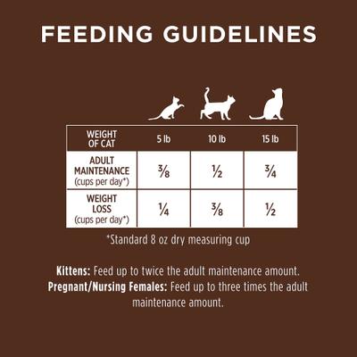 Original Real Salmon Recipe Grain-Free Dry Cat Food, 10-lb bag