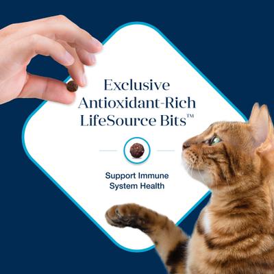 Basics Skin & Stomach Care Grain-Free Fish & Potato Recipe Dry Cat Food, 5-lb bag