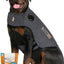 Bundle: ThunderShirt Classic Anxiety & Calming Vest, Heather Grey, X-Small + ThunderWunders Melatonin Dog Chews