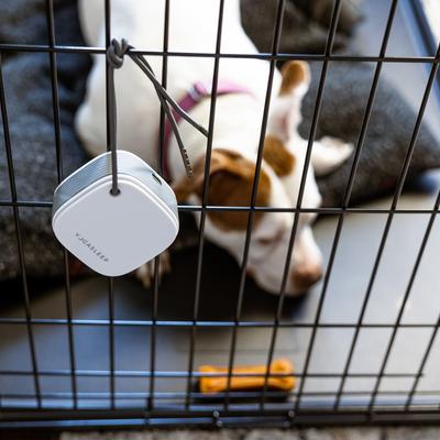 Pawzz Travel Dog Sound Machine, White