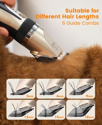 X2+N5 2-in-1 Cordless Stainless Steel Low-Noise Dog & Cat Grooming Clipper & Paw Trimmer Kit