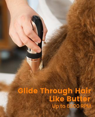 X2+N5 2-in-1 Cordless Stainless Steel Low-Noise Dog & Cat Grooming Clipper & Paw Trimmer Kit