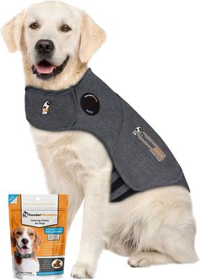 Bundle: ThunderShirt Classic Anxiety & Calming Vest, Heather Grey, X-Small + ThunderWunders Melatonin Dog Chews