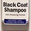 Black Coat Dog & Cat Shampoo, 12-fl oz bottle, 2 count