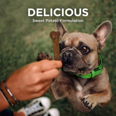 BioActive Fresh Mouth Grain-Free Small Dental Dog Treats, 15 count