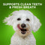 BioActive Fresh Mouth Grain-Free Small Dental Dog Treats, 15 count