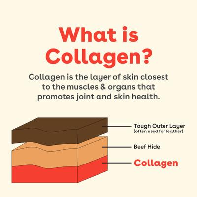 Collagen Stick Dog Treat, 4-oz bag