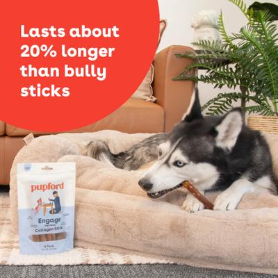 Collagen Stick Dog Treat, 4-oz bag