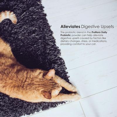 Powder Digestive Supplement for Cats, 30 servings