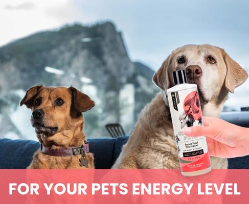 Inner Fuel & Energy Boosting Dog & Cat Shampoo, 16-oz bottle, 1