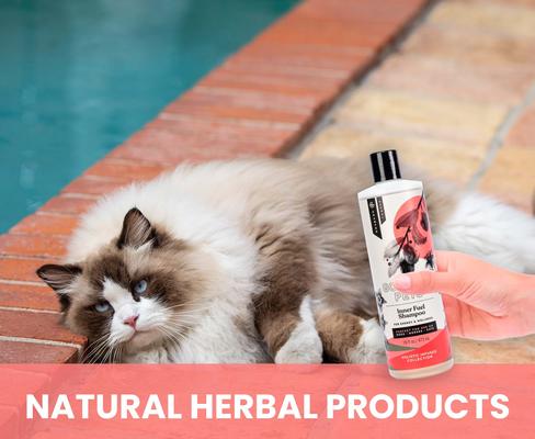 Inner Fuel & Energy Boosting Dog & Cat Shampoo, 16-oz bottle, 1