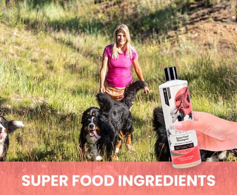 Inner Fuel & Energy Boosting Dog & Cat Shampoo, 16-oz bottle, 1