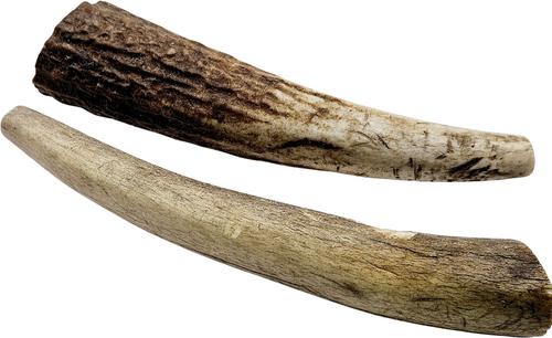 Whole Naturally Shed 4 to 5-in Elk Antler Dog Treats, Small, 2 count