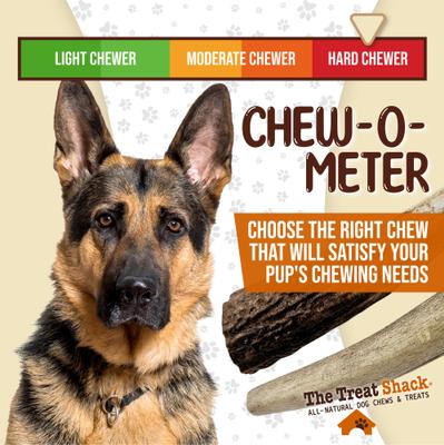 Whole Naturally Shed 4 to 5-in Elk Antler Dog Treats, Small, 2 count