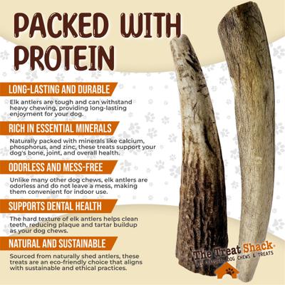 Whole Naturally Shed 4 to 5-in Elk Antler Dog Treats, Small, 2 count