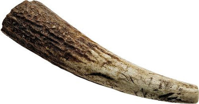 Whole Naturally Shed 4 to 5-in Elk Antler Dog Treats, Small, 2 count