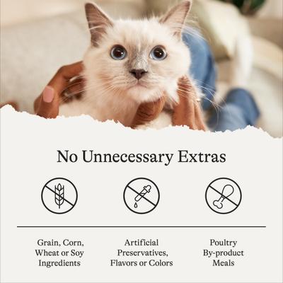 Bundle: American Journey Salmon Recipe Grain-Free Dry Cat Food, 12-lb bag + American Journey 100% Chicken Freeze-Dried Grain-Free Cat Treats, 5-oz bag