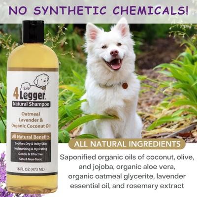 Organic Oatmeal, Aloe & Lavender Dog Shampoo, 16-fl oz bottle