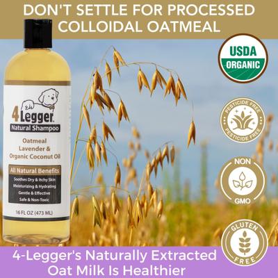 Organic Oatmeal, Aloe & Lavender Dog Shampoo, 16-fl oz bottle