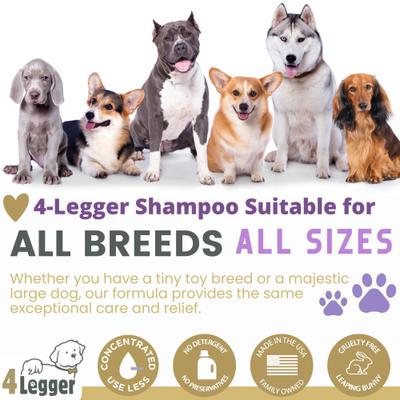 Champú orgánico para perros con avena, aloe y lavanda